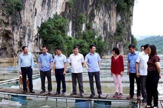 Anh_1__Lanh_dao_UBND_tinh__cac_so_nganh_tham_co_so_nuoi_ca_long_tap_trung_14860