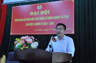 DSC_1132_72b85