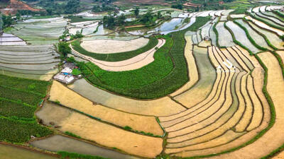 Ruộng Tả Lèng