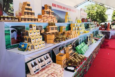 Hội chợ Sâm tỉnh Lai Châu