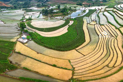 Ruộng Tả Lèng