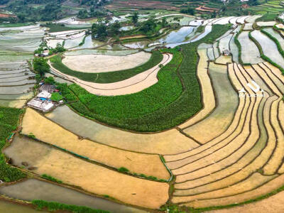 Ruộng Tả Lèng
