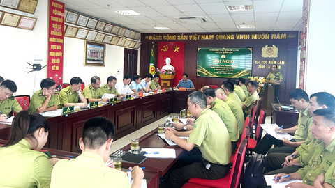 CHI CỤC KIỂM LÂM LAI CHÂU  TỔ CHỨC SƠ KẾT 6 THÁNG ĐẦU NĂM 2026