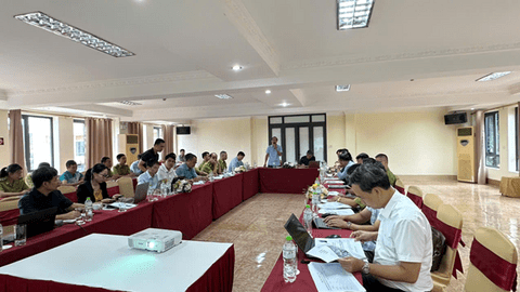 PHÁT TRIỂN LÂM SẢN NGOÀI GỖ DƯỚI TÁN RỪNG - HƯỚNG ĐI TỪ RỪNG ĐẾN SINH KẾ BỀN VỮNG