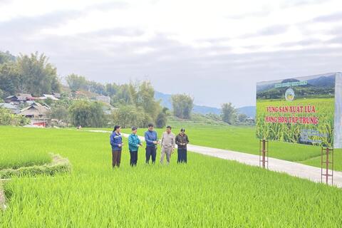 Lai Châu: Đẩy mạnh hỗ trợ phát triển sản phẩm OCOP theo mô hình chính quyền địa phương 2 cấp