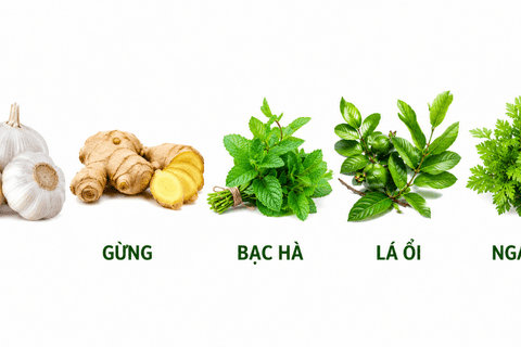 THẢO DƯỢC - GIẢI PHÁP TỰ NHIÊN NÂNG CAO SỨC KHỎE VÀ NĂNG SUẤT TRONG CHĂN NUÔI