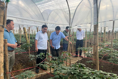 Đoàn công tác Trung tâm Khuyến nông tỉnh Lạng Sơn tham quan, trao đổi kinh nghiệm tại các mô hình nông nghiệp tiêu biểu của tỉnh Lai Châu