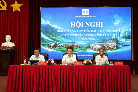Hội nghị giải pháp và xúc tiến đầu tư phát triển chăn nuôi tập trung tỉnh Lai Châu năm 2026