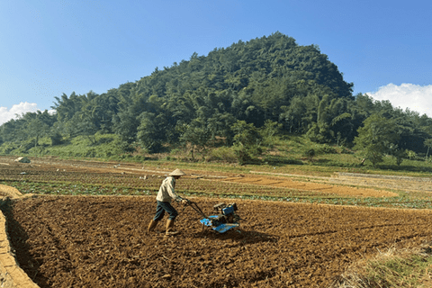 Hướng dẫn kỹ thuật trồng và chăm sóc rau màu vụ đông