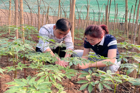 ĐẨY MẠNH TUYÊN TRUYỀN KHUYẾN NÔNG, ĐỒNG HÀNH CÙNG BÀ CON NÔNG DÂN