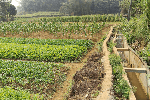 Niềm vui của bà con khi hệ thống công trình thủy lợi về bản