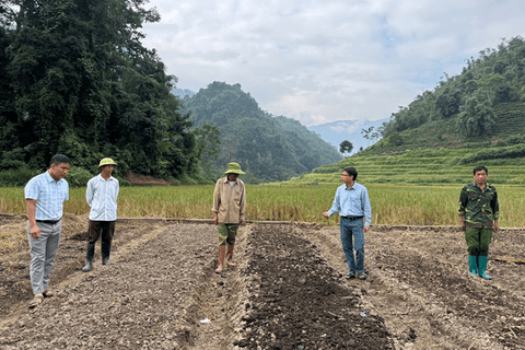 Xã Khun Há triển khai hiệu quả sản xuất tăng vụ thu đông, vụ đông năm 2025