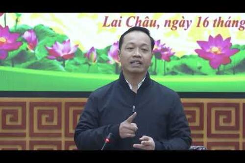 Sâm Lai Châu trên đà phát triển
