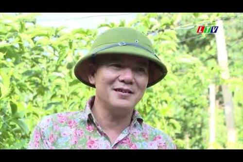 Phát triển cây ăn quả ôn đới