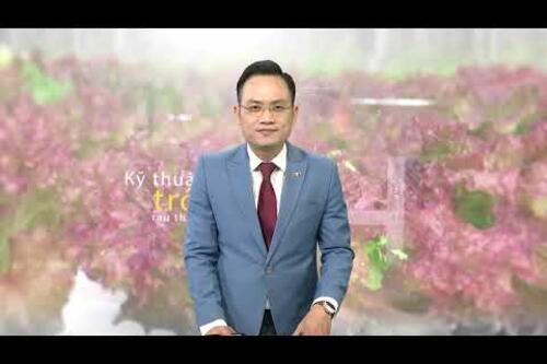 Hướng dẫn kỹ thuật trồng rau canh tác hữu cơ