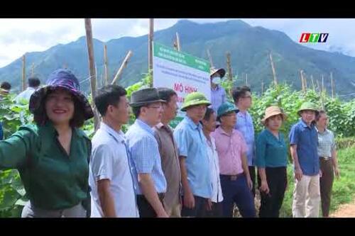 LAI CHÂU HIỆU QUẢ CÁC MÔ HÌNH SẢN XUẤT NÔNG NGHIỆP