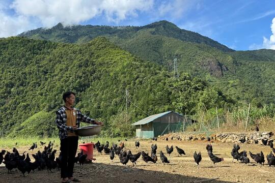 <a href="/tin-tuc-thong-ke/chuong-trinh-xay-dung-nt-moi" title="Chương trình xây dựng NT mới" rel="dofollow">Chương trình xây dựng Nông thôn mới</a>