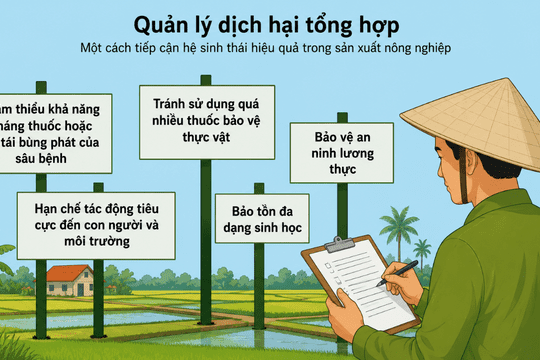 <a href="/tin-tuc-thong-ke" title="Tin tức" rel="dofollow">TIN TỨC SỰ KIỆN</a>