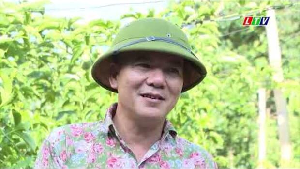 Phát triển cây ăn quả ôn đới