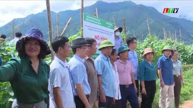 LAI CHÂU HIỆU QUẢ CÁC MÔ HÌNH SẢN XUẤT NÔNG NGHIỆP