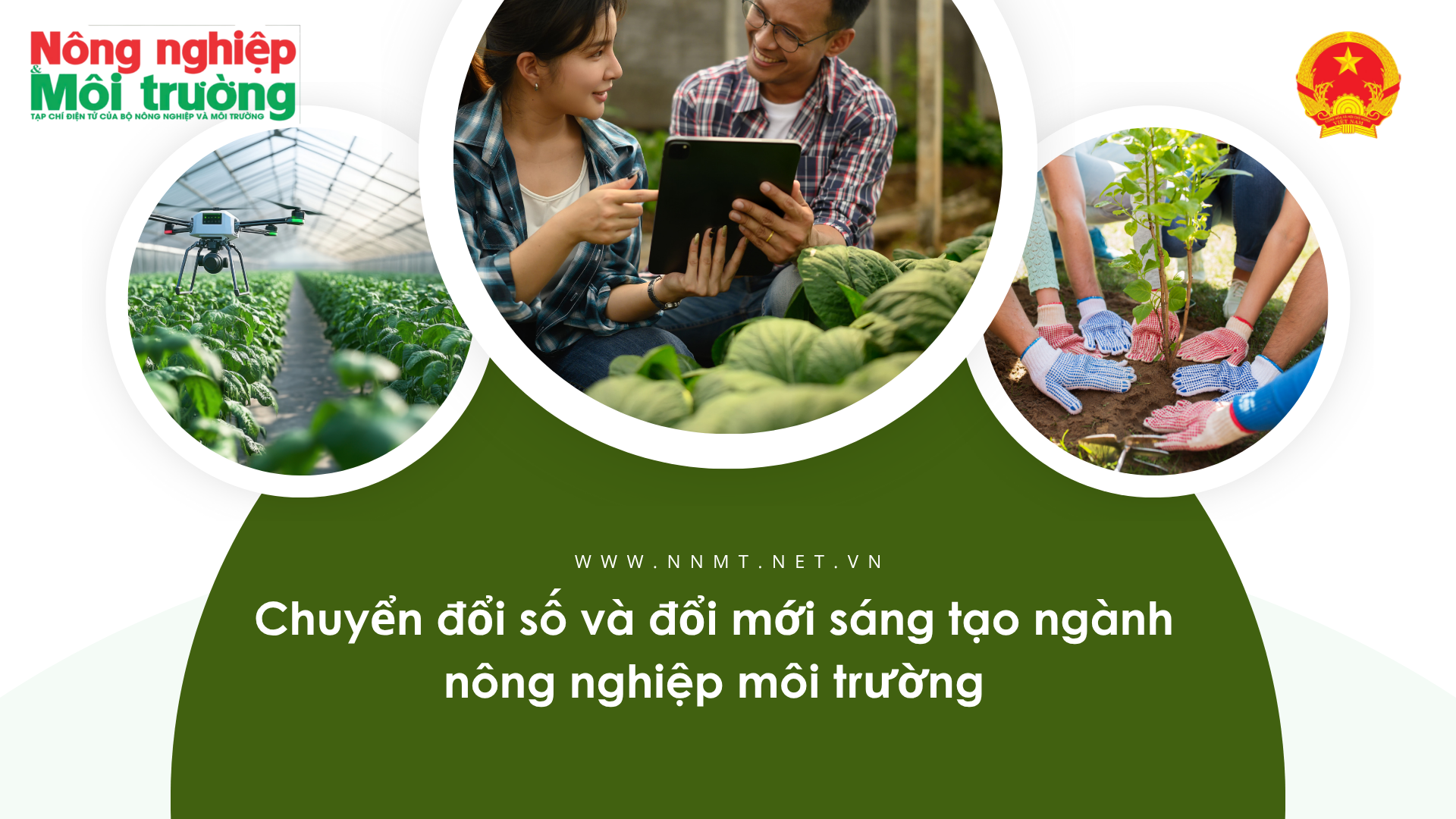 Chuyển đổi số và đổi mới sáng tạo: Phân công rõ trách nhiệm cho từng đơn