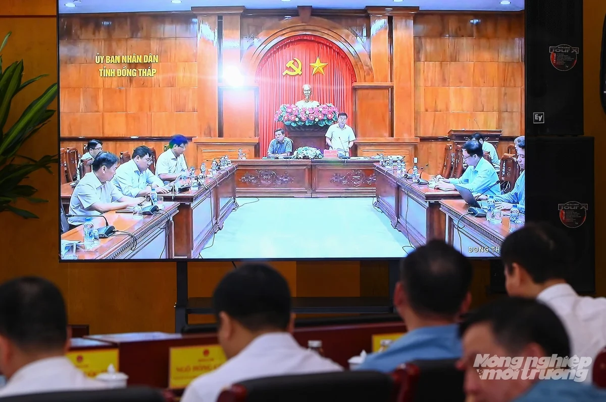 Các đại biểu tham dự phát biểu tại Hội nghị. Ảnh: Tùng Đinh. Các đại biểu tham dự phát biểu tại Hội nghị. Ảnh: Tùng Đinh.