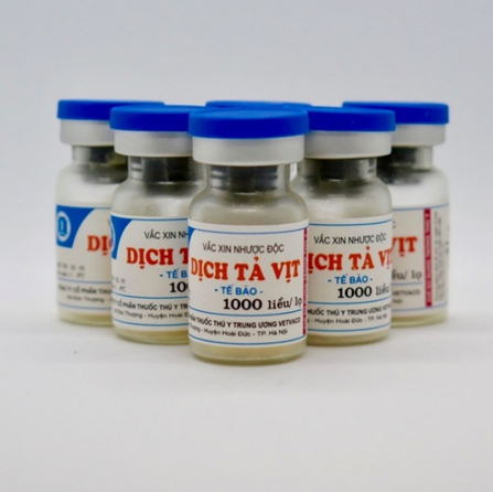 image(109).png